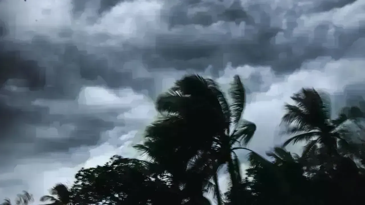 Cyclone Ditwah Approaches: Essential 48-Hour Safety Guidance for Coastal Residents