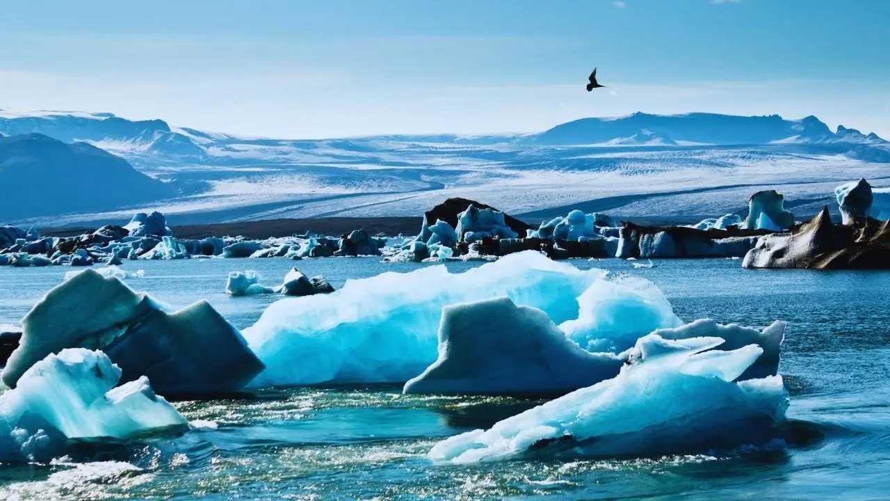 Surge in Arctic Adventures: Exploring Our Fascination with the World's Extremes