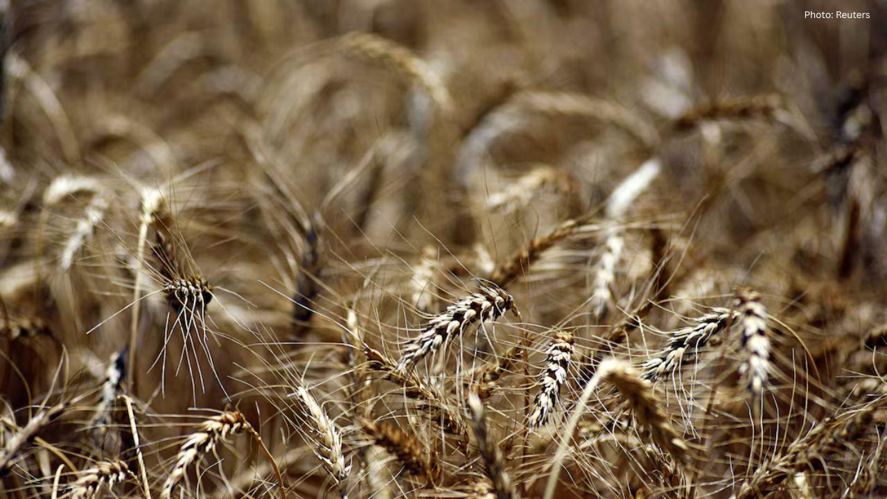 Trump to Reveal $12 Billion Aid Plan for Farmers Affected by Low Prices