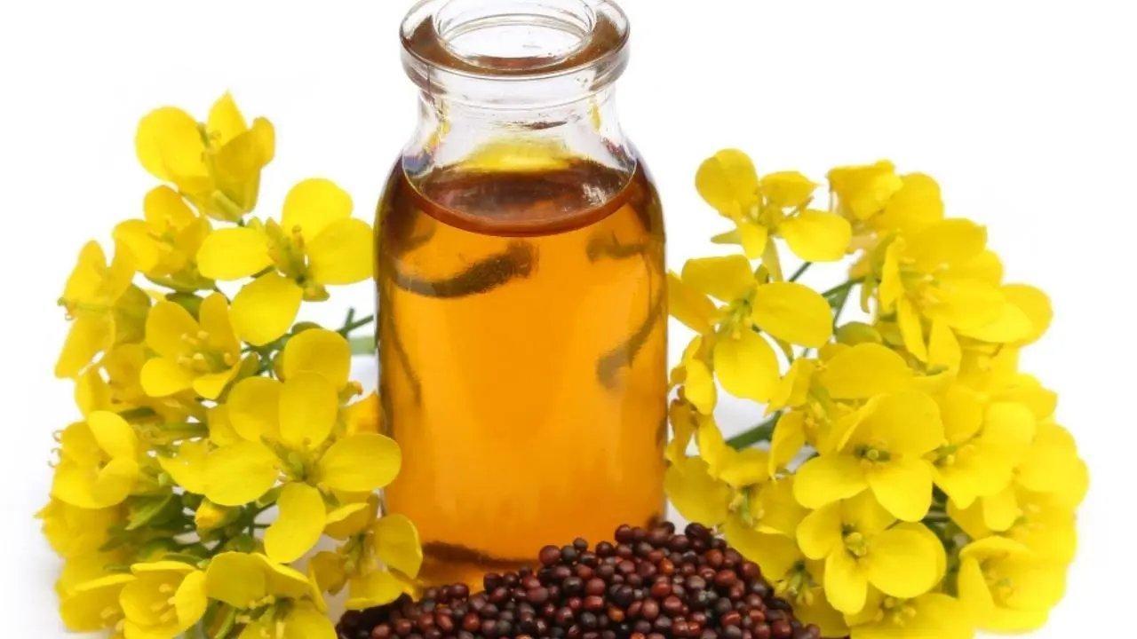 Harnessing Mustard Oil for Healthier Hair Growth
