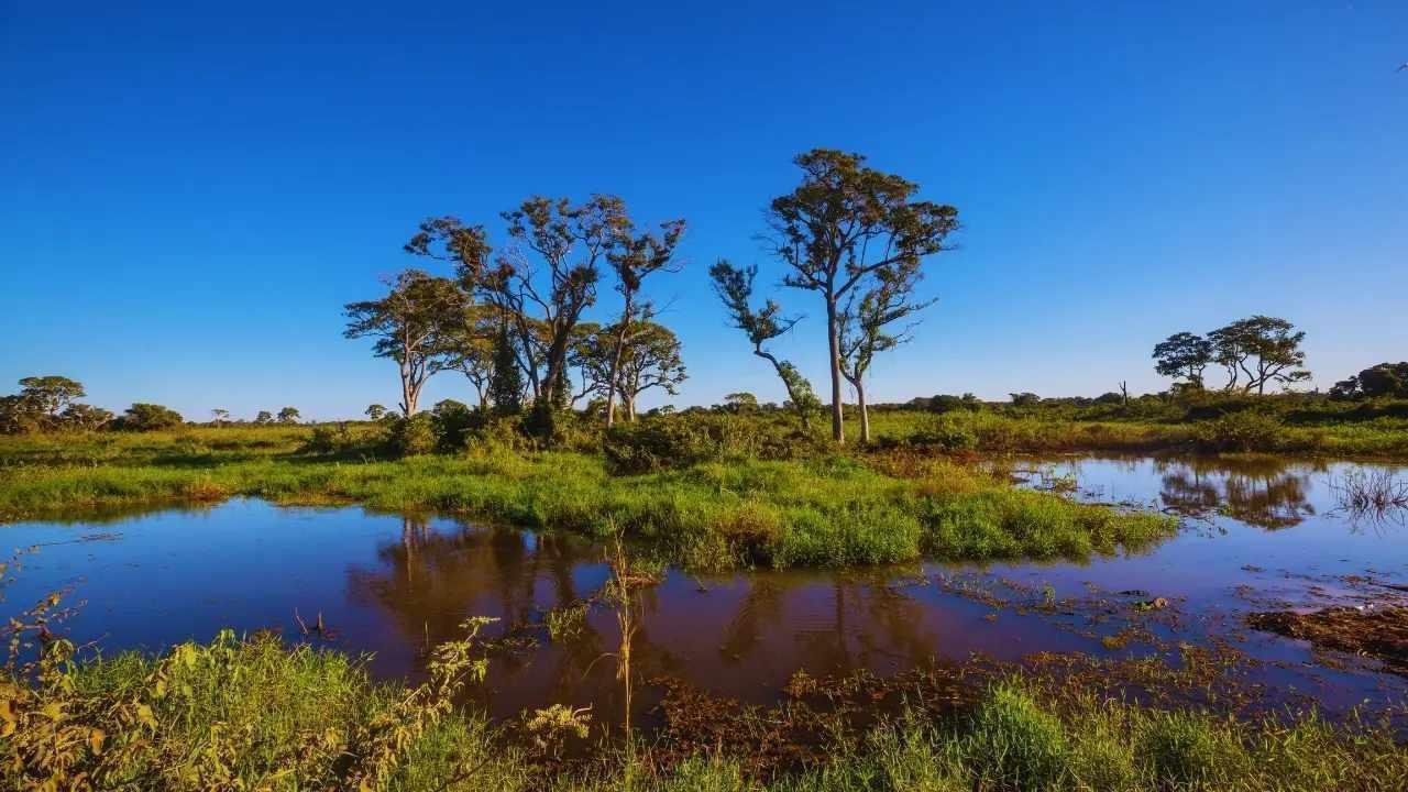 India’s Hidden Eco-Destinations on the Verge of Becoming Travel Hotspots