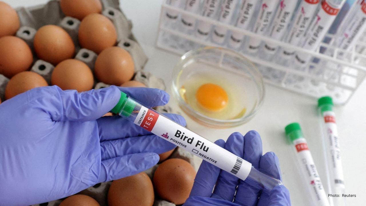 Senators Request Urgent Development of Bird Flu Vaccine Amid Rising Outbreak
