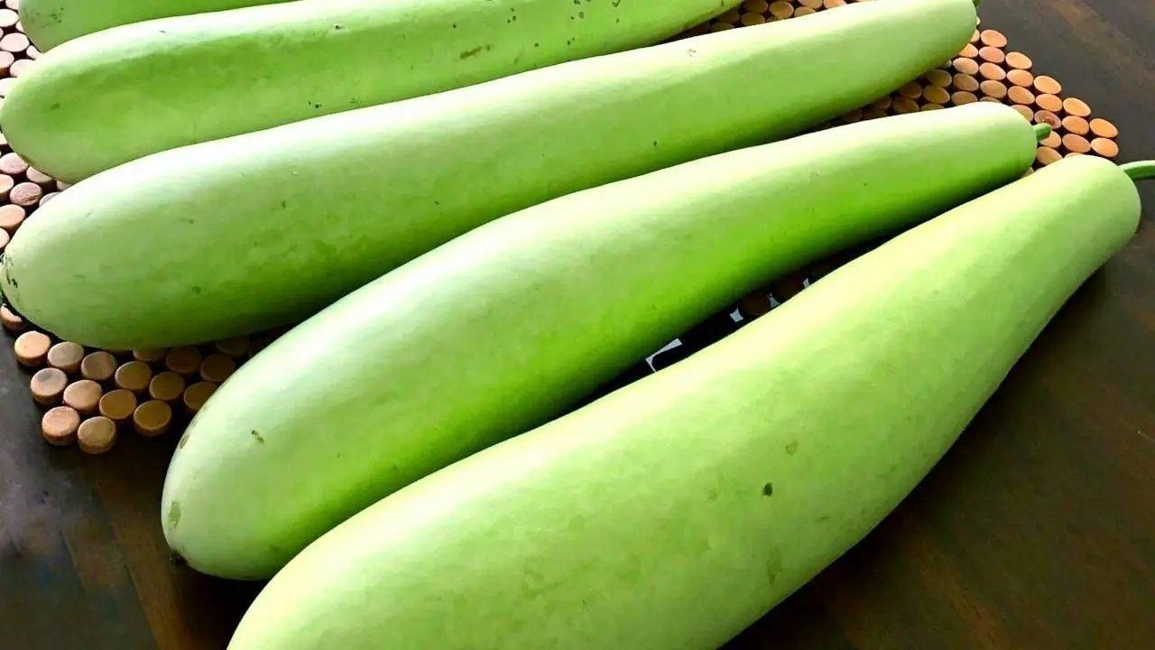 10 Nourishing Ways to Incorporate Bottle Gourd into Your Meals