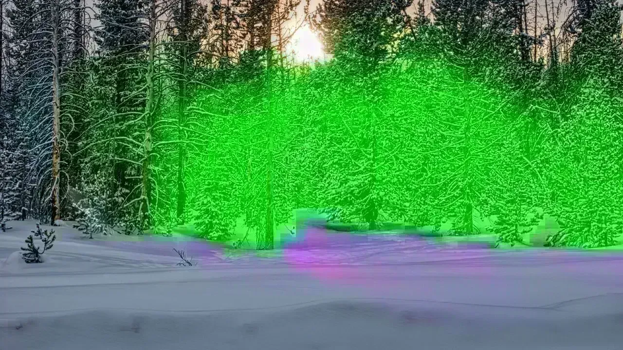 Severe Blizzard Slams Nova Scotia: Travel Disruptions Abound