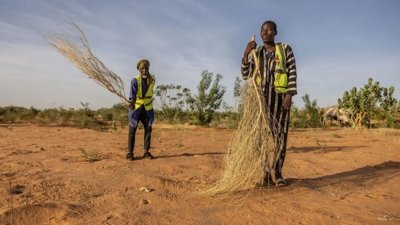 Firefighting Heroes: Refugees Combat Bushfires in Mauritania