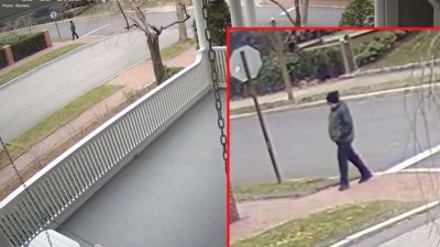 Tragic Shootings at Brown and MIT: A Former Student's Path to Despair