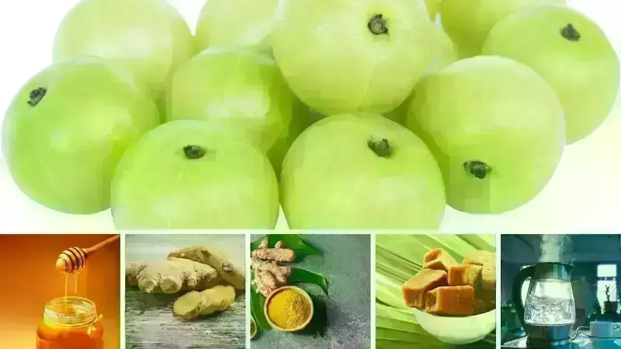 Top 5 Winter Foods to Pair with Amla for Enhanced Health