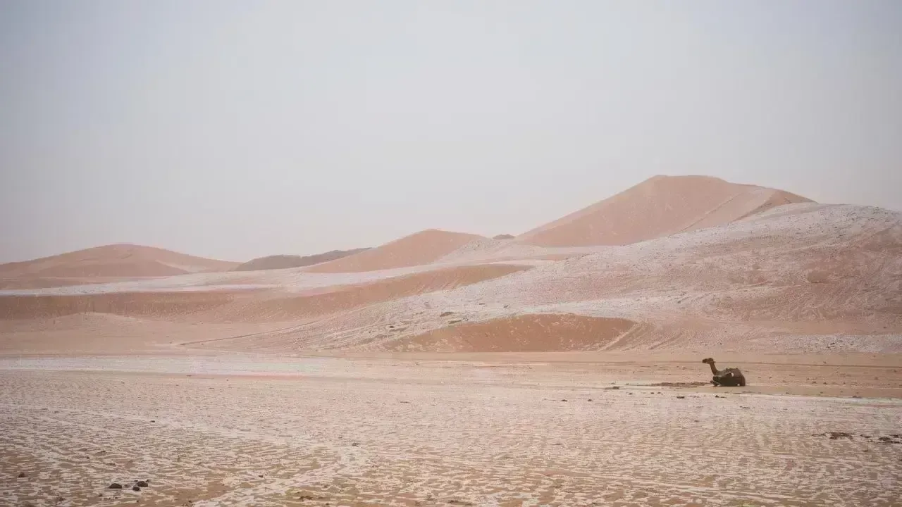 Rare Snowfall Seen Near Riyadh After More Than Thirty Years