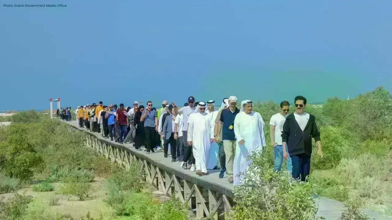 Major Mangrove Initiative at Jebel Ali by DEWA and DECCA