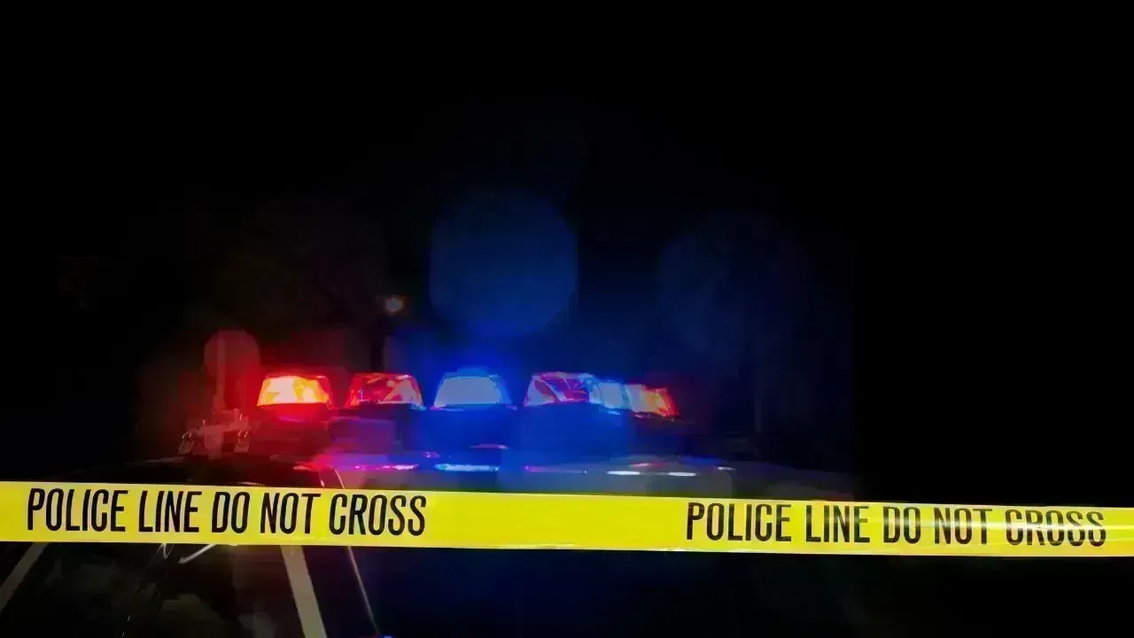 Tragic Road Accident Claims Lives of Two Telangana Women in California