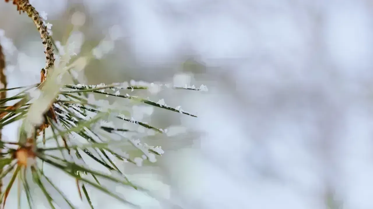 Exploring Winter: The Science of the Coldest Season on Earth