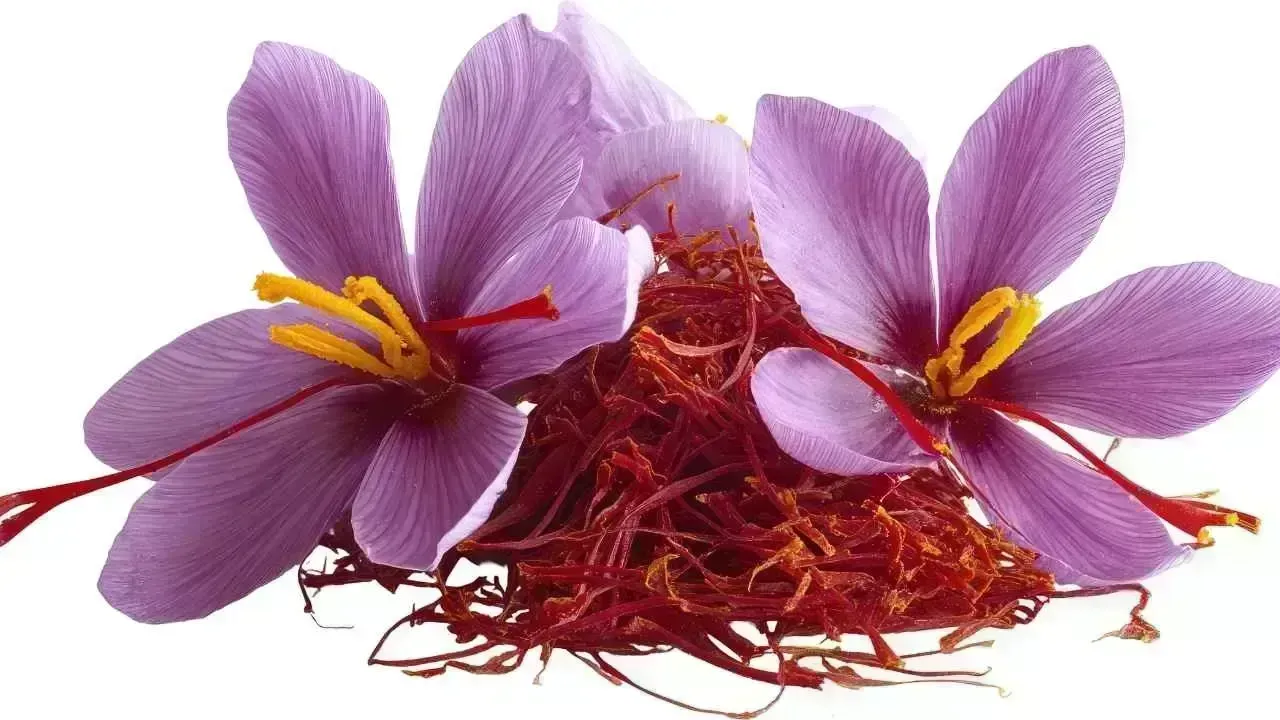 Unlock the Health Benefits of Saffron (Kesar)