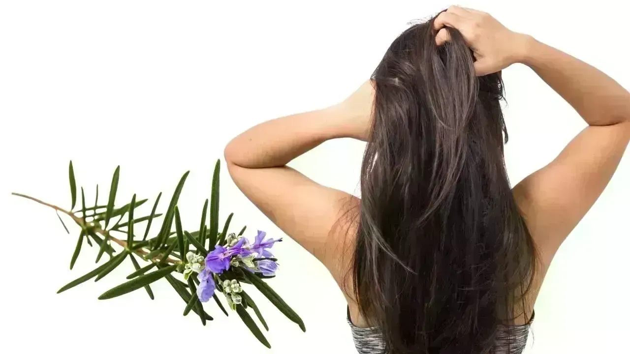 Top Hair Growth Techniques: Unlock the Benefits of Rosemary and Scalp Scrubs