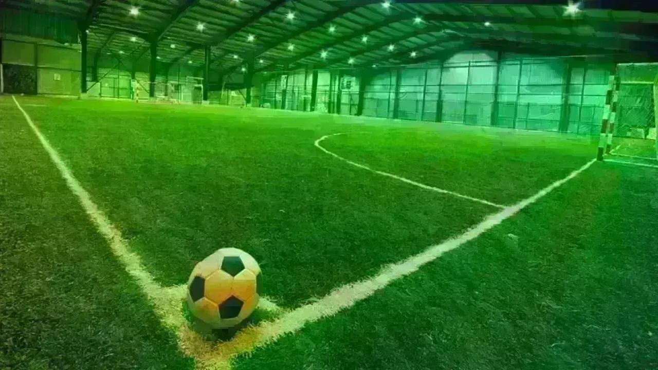 2025-26 Sports Search Trends: Insights into Global Fan Engagement