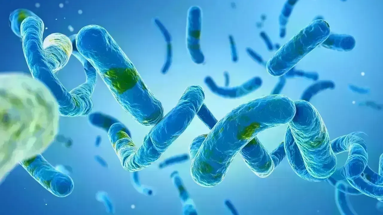 Global Threat of Emerging Infectious Diseases: Surveillance and Risks