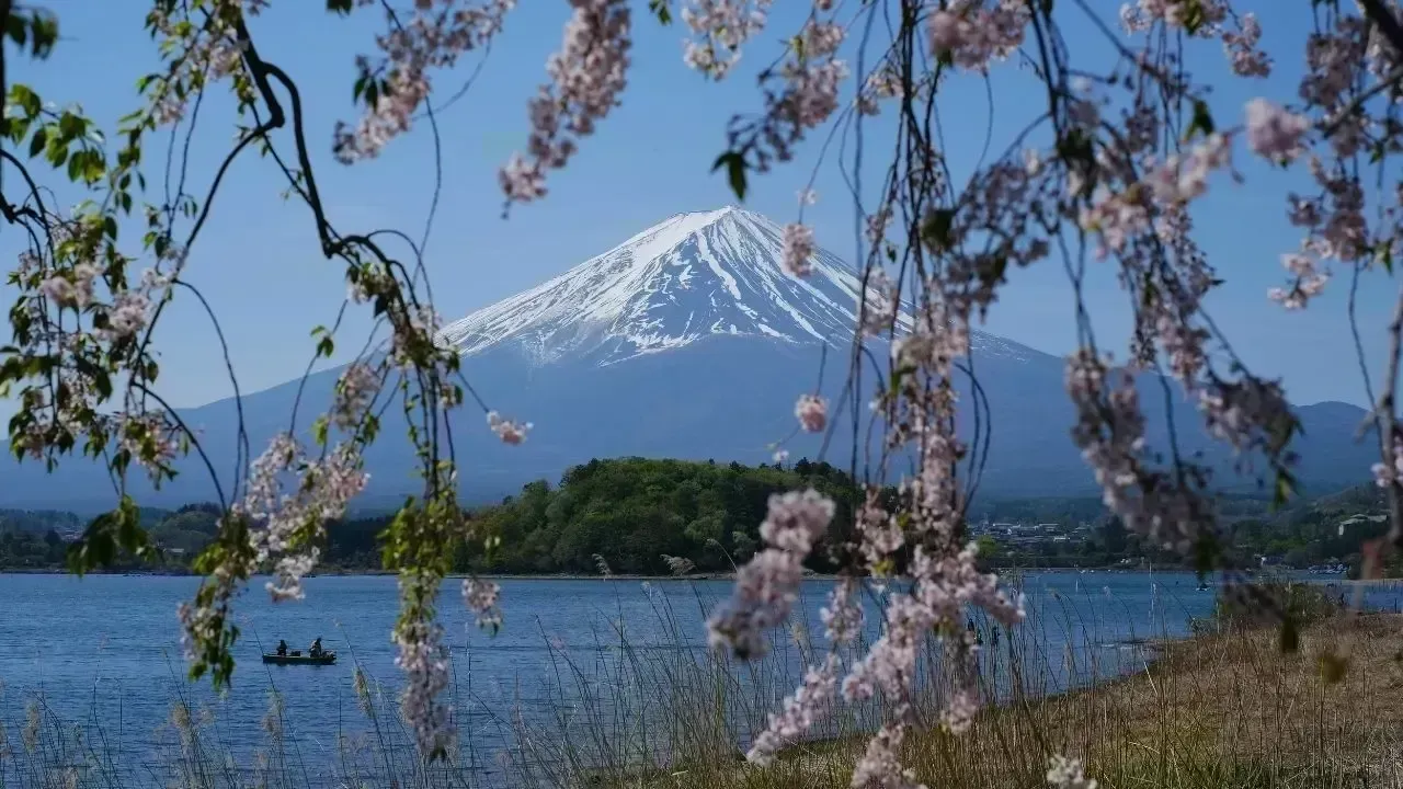 Japan: The Hottest Travel Spot in Global Searches