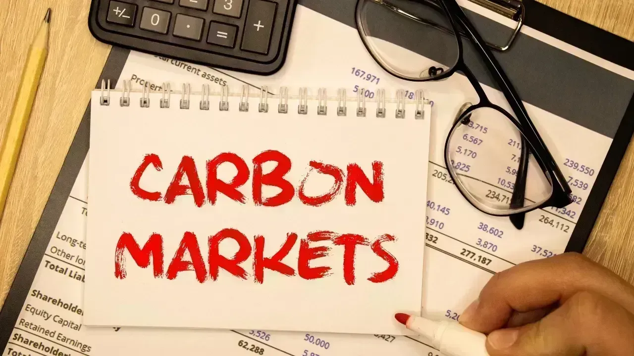 The Rising Importance of Carbon Markets in Global Policy Discourse