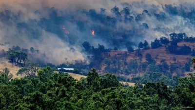 Catastrophic Bushfires Rage Across Victoria: 1 Fatality and Over 300 Homes Lost