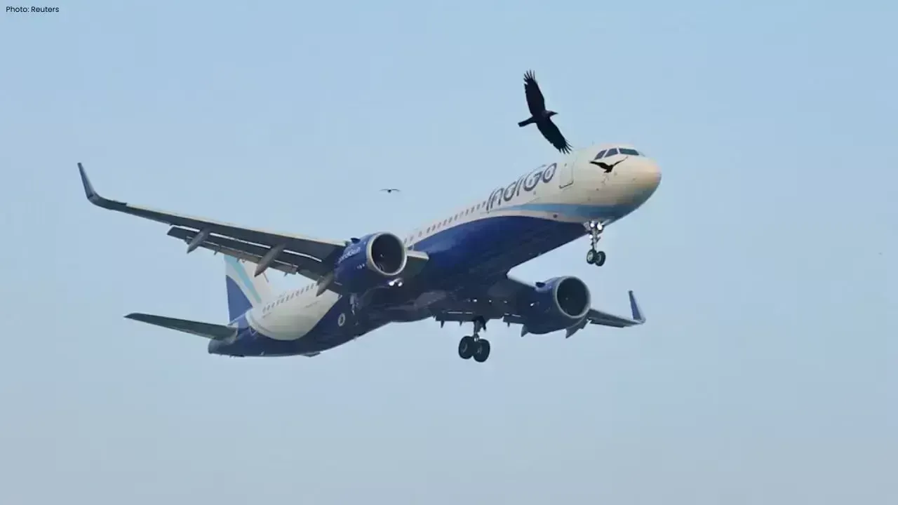 IndiGo Flight Delays Following Pilot’s Duty Hour Dispute