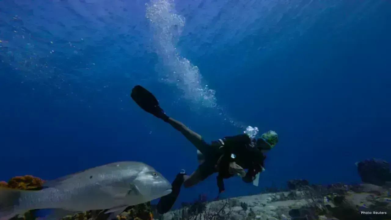 UN Biodiversity Treaty Takes Effect, Aims to Safeguard Oceans by 2030