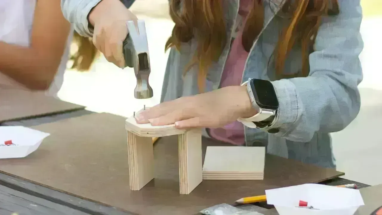 The Surge of DIY Education: Implications for Traditional Learning Institutions