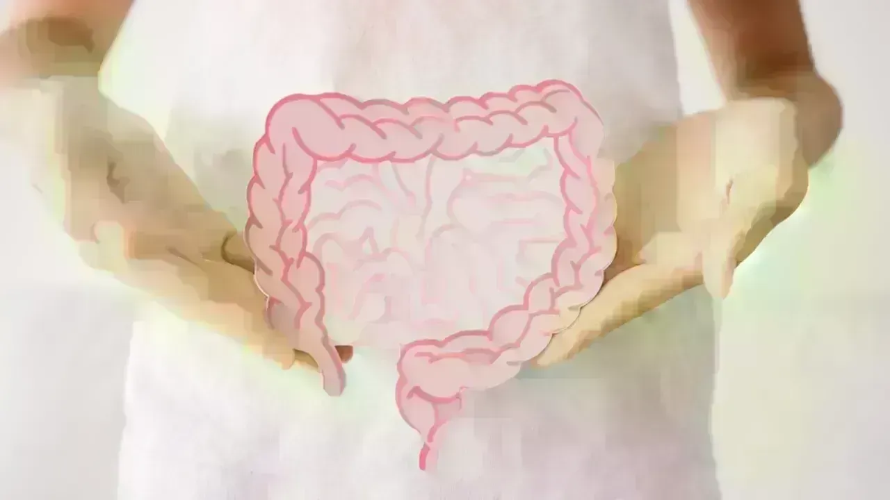 Transforming Nutrition: The Impact of Gut Health Research