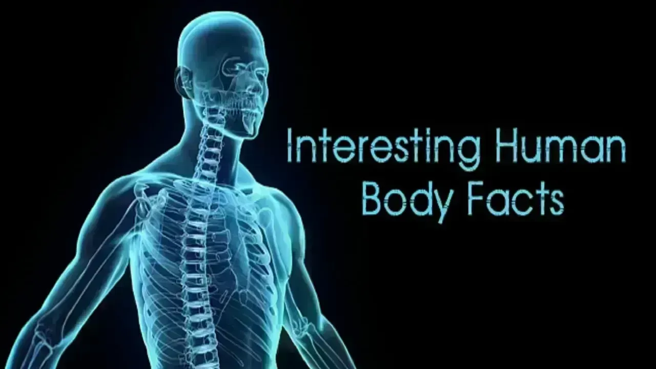 Unbelievable Insights into the Human Body You Didn't Know