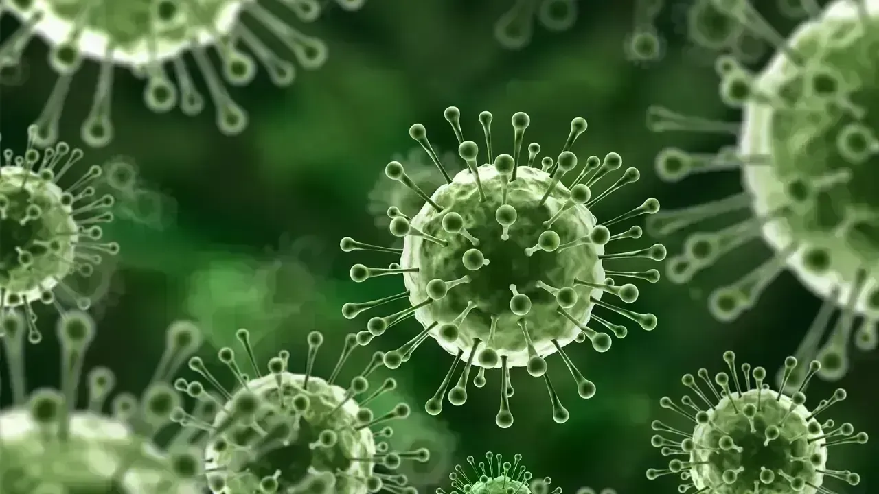 Nipah Virus Alarm in India: Symptoms, Transmission and Urgent Health Measures