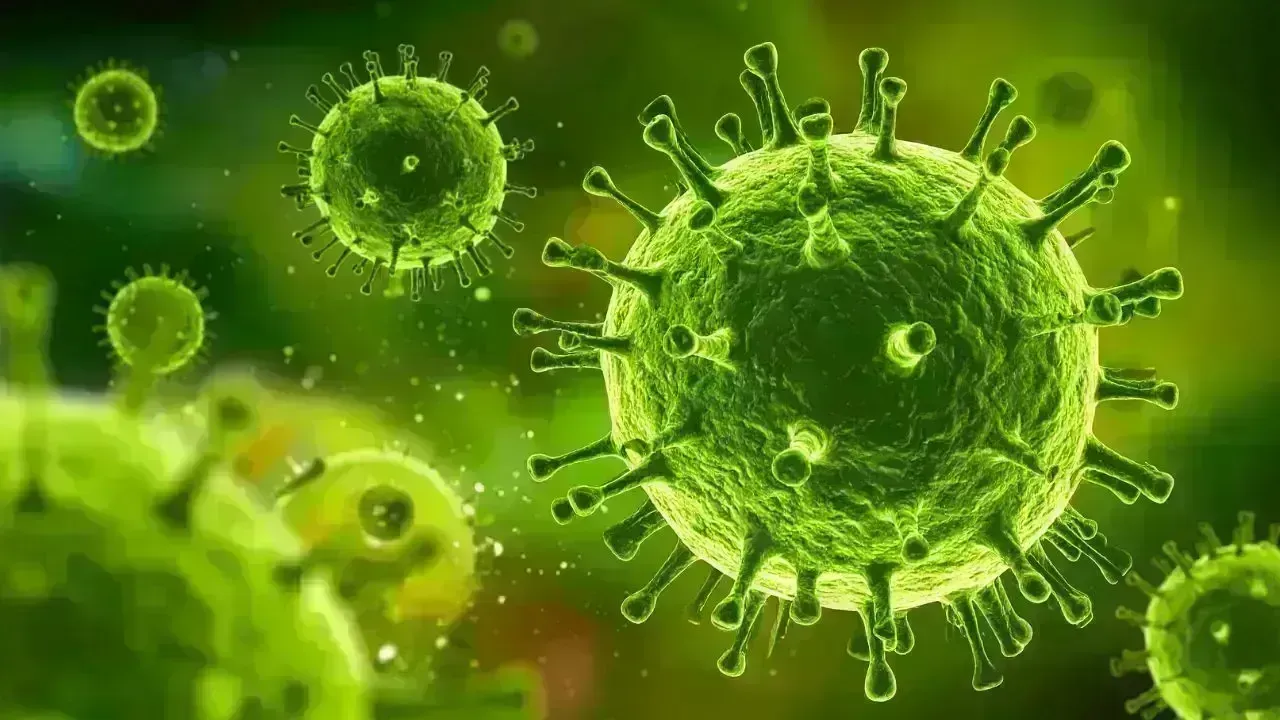 Nipah Virus Triggers Health Screening at Asia Airports