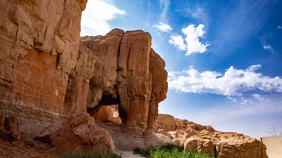 Green Roofs in Saudi Cities: Is Greening Possible in the Desert