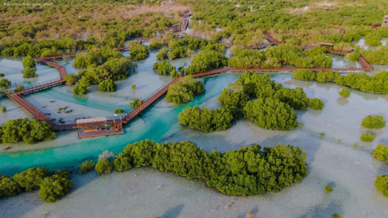 TAQA Partners with EAD to Boost Abu Dhabi Mangrove Conservation