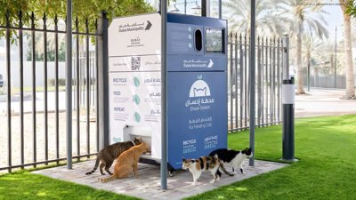 Dubai Launches AI ‘Ehsan Stations’ to Feed Stray Animals
