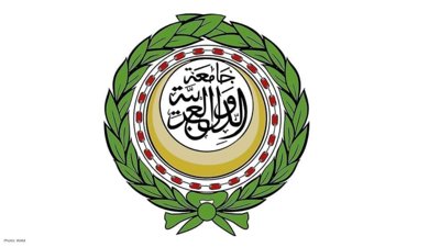 Arab League Backs Nabil Fahmy for Secretary-General