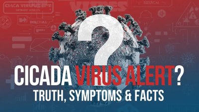 Understanding the Cicada Virus: Is It a New COVID Variant? Key Symptoms & Treatment Guidance