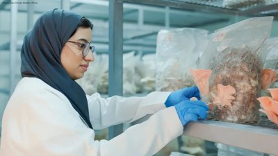 Innovative Farming: UAEU Launches Smart Mushroom House