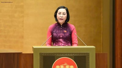 Record Voter Turnout Marks Vietnam's 2026 Election