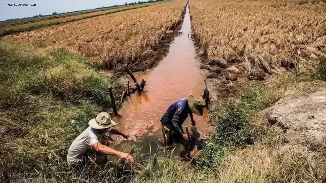 Increasing Saltwater Intrusion Threats in Mekong Delta