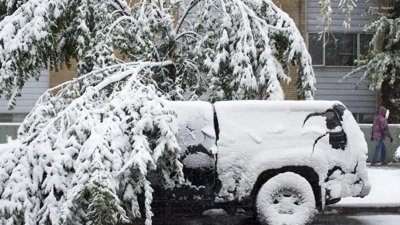 Late-Season Snow Forecast for Alberta Farmers