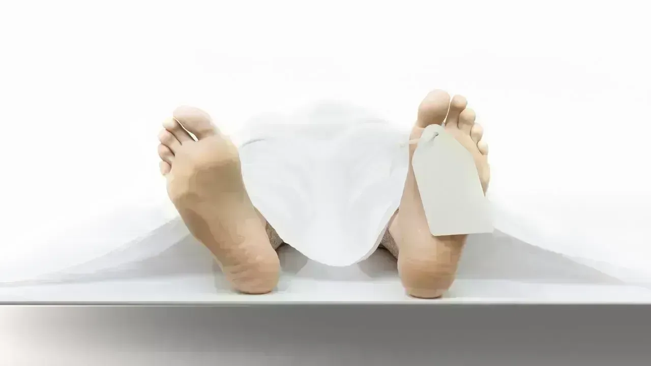 Tragic Discovery: Two Women Found Dead in Osaka Apartment