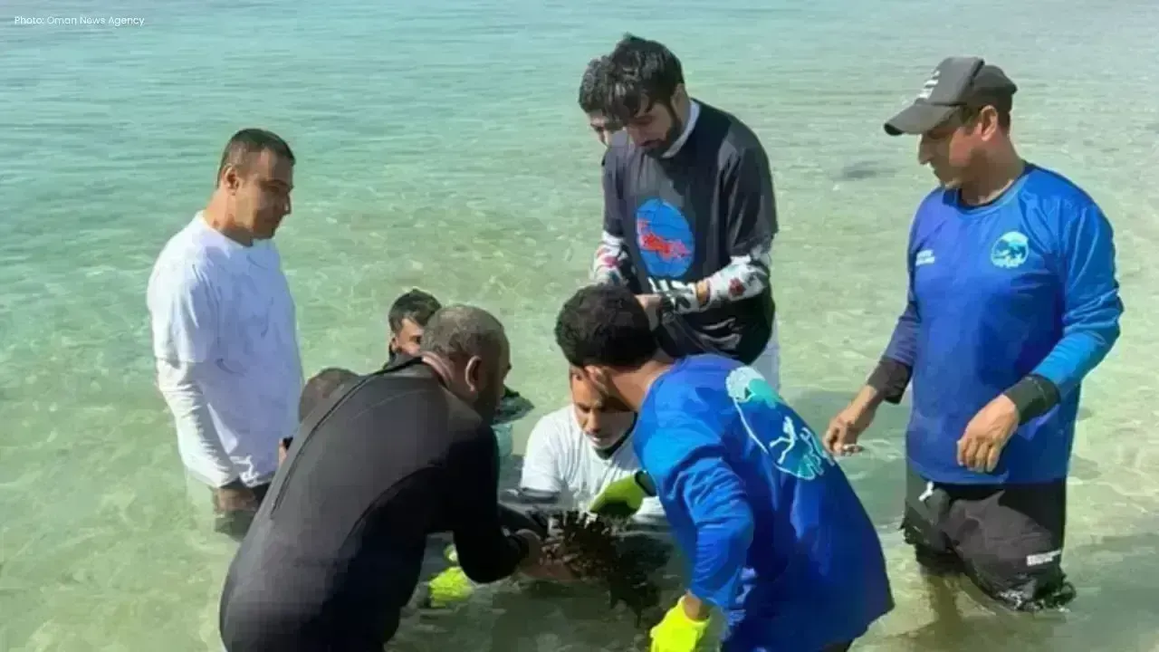 Oman Unveils Coral Reef Revival Initiative