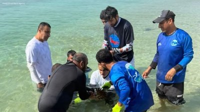 Oman Unveils Coral Reef Revival Initiative