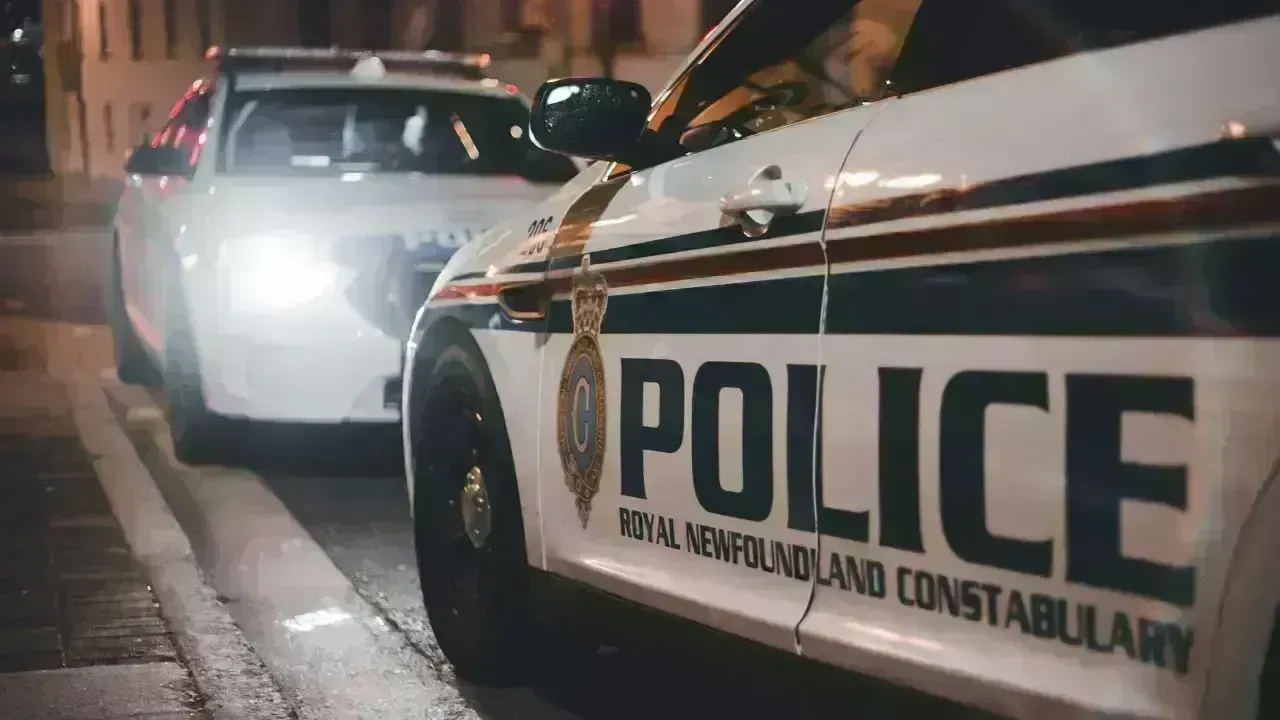 Calgary Resident's Warning Following Nighttime Intruder Incident