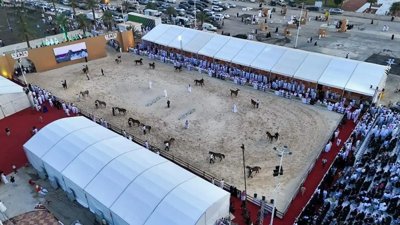 Over 9,000 Enthusiasts Gather for Day Two of Qassim Horse Show 2026