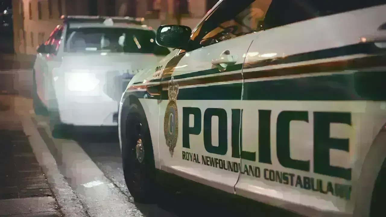 Tragic Pedestrian Fatality on Belleville Highway