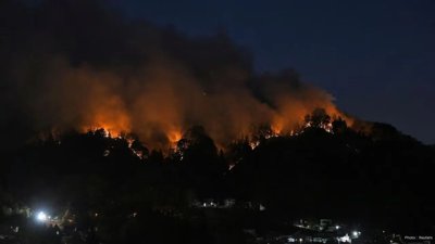 Wildfires Force Mass Evacuations in Iwate, Japan