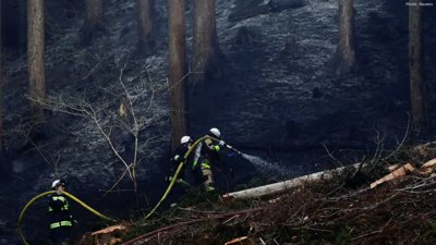 Emergency in Iwate: Thousands Flee as Wildfires Rage in Japan