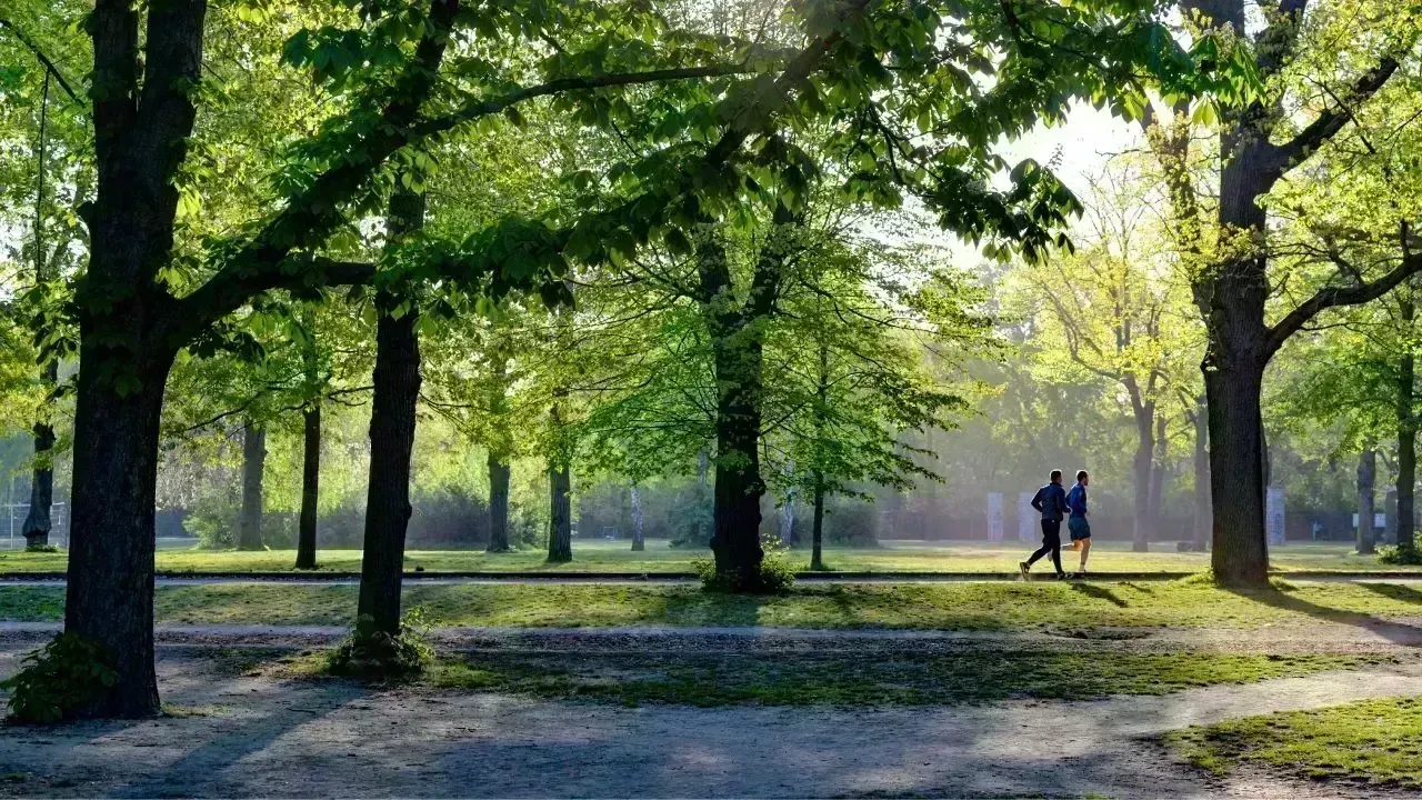 Final Touches on Taman Persekutuan Lembah Kiara: June Reopening Anticipated