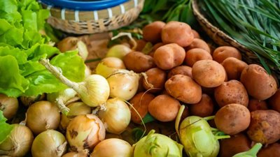 Lebap Farmers Anticipate Bountiful Crop Harvests