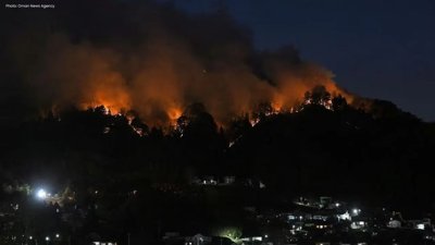 Control Gained Over Japan's Iwate Wildfire After Prolonged Battle