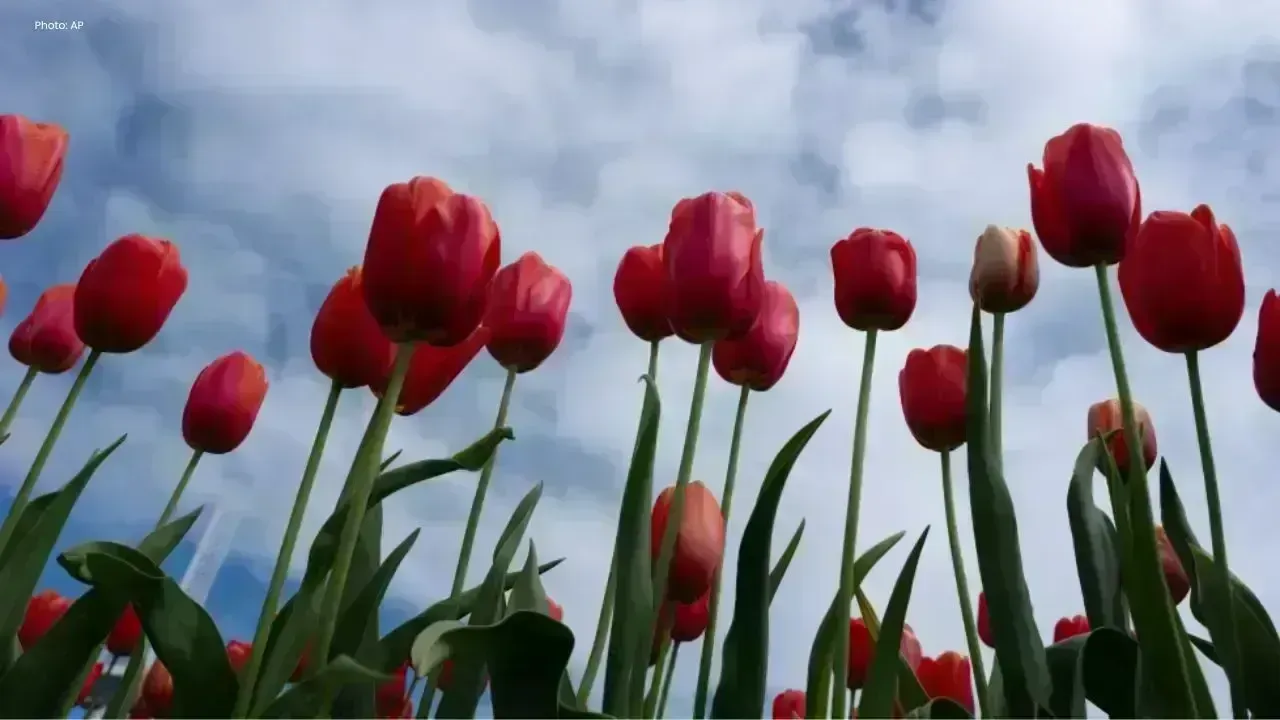 Climate Crisis Poses Major Risks to Global Flora
